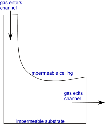 mass_xprt_image_schematic